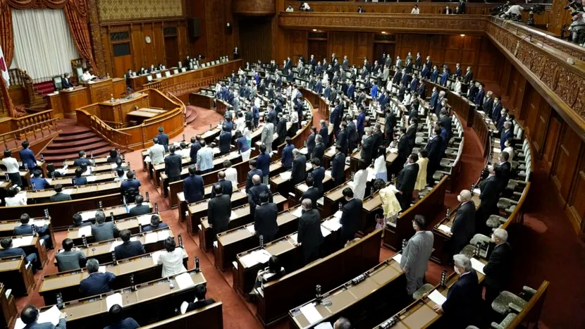 Japonia pedepsește „injuriile online”. Infractorii vor fi pedepsiți cu închisoare de până la un an