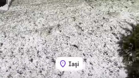 Vine iarna! Un algerian a revenit în România, după ce Gigi Becali l-a umilit, şi acum e şocat de vremea de la Iaşi