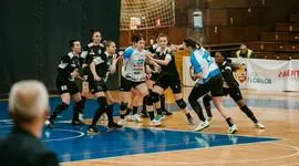 Poza 1