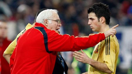 Aragones: "Fabregas este un jucător excepțional"