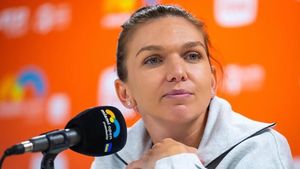 Cum arată mașina unchiului Simonei Halep după ce un copac a căzut pe ea și a făcut-o praf