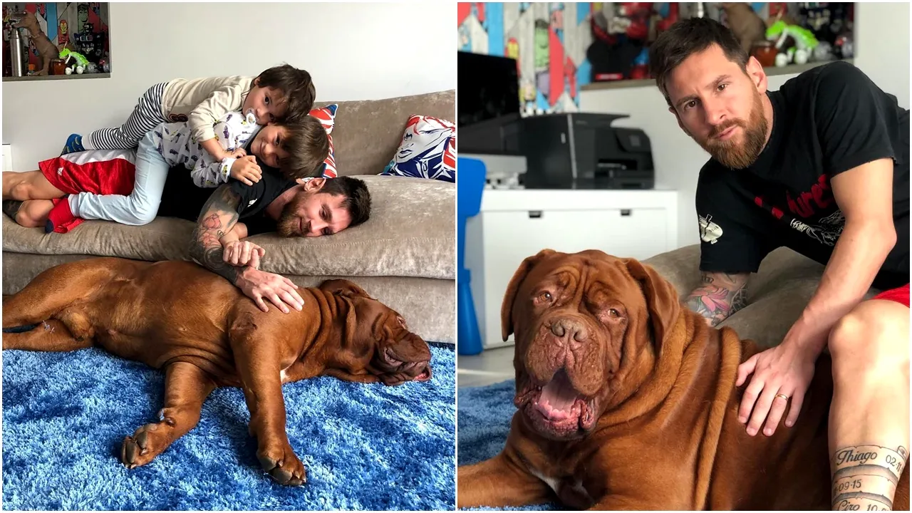 Ce s-a întâmplat cu uriașul câine Hulk al lui Leo Messi! Decizia dureroasă luată de fotbalist