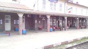 FOTO EXCLUSIV Incredibil! Fanii Stelei, sancționați pentru cântat în tren!** Vezi comunicatele AISS și al Căilor Ferate!