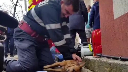 Gest de suflet pentru bărbatul care a înduioșat întreaga Românie. FOTO | Cadoul steliștilor pentru pompierul-erou din Pitești