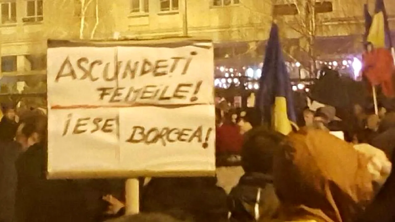 Strada are umor! FOTO | Borcea, printre țintele protestatarilor. Cele mai amuzante mesaje afișate