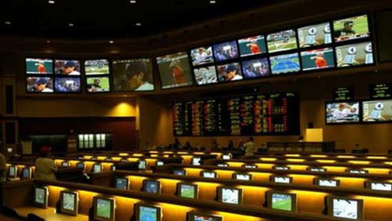 FOTO | Ce s-a gândit un român să facă înainte de meciul Steaua - Ludogoreț. Curajul său l-a făcut celebru în România