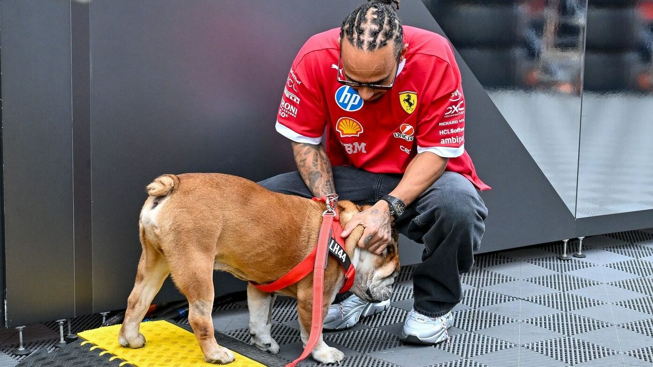 Lewis Hamilton, devastat după moartea lui Roscoe, buldogul său: „Mi-am pierdut cel mai bun prieten”