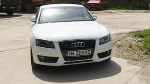Bolizii în garaj