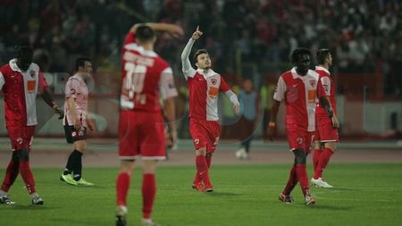 Timișorenii au dat nas în nas cu "câinii":** "Erau albi ca varul!"