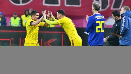 Firma care a pus iarba pe „Ion Oblemenco" iese la atac: „Primăria și clubul CS U Craiova au forțat inaugurarea stadionului, deși gazonul nu era gata de joc!"
