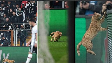 VIDEO | N-a mai îndurat umilința și a întrerupt meciul :). "Intrusul" care a pătruns pe teren în timpul meciului Beșiktaș - Bayern
