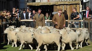 Pleci? Mănânci testicule de berbec și iei în brațe o oaie!** Top 10 cele mai ciudate clauze din istoria fotbalului
