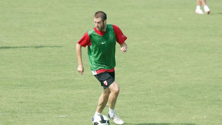 „Câinii" comunitari