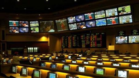 FOTO | Ce s-a gândit un român să facă înainte de meciul Steaua - Ludogoreț. Curajul său l-a făcut celebru în România