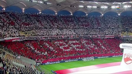 FOTO SPECTACULOS** Super coregrafii făcute de rapidiști și "câini" la finala Cupei României! Ce mesaje au afișat