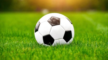 A sunat şi a înjurat femeile angajate la AFAN. Un şef de club din România, comportament suburban pentru că risca depunctarea şi nu voia să plătească salariul fotbalistului