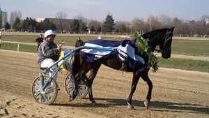 Zaza a câștigat Derby-ul de Trap de la Ploiești