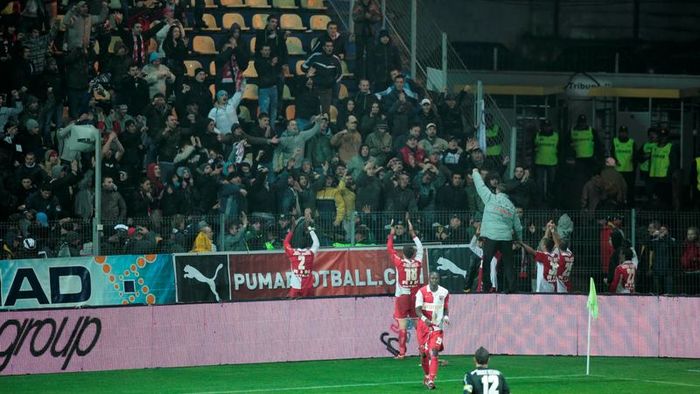 Peluza goală, „câinii" la tribună
