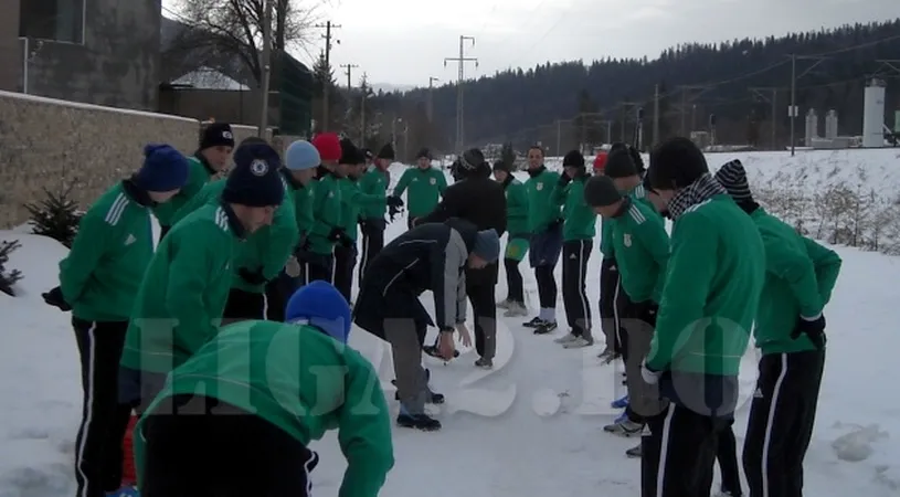 Galben-verzii** pregătesc returul la Sinaia