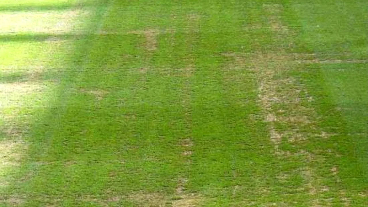 FOTO Gazonul de pe Santiago Bernabeu arată oribil înainte de Real - Ajax Amsterdam