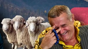 Gigi Becali i-a făcut oferta unui simbol al lui Dinamo să fie antrenorul FCSB! L-a chemat la un grătar cu cotlete de berbecuț: „Bă, ce te-aș aduce eu pe tine antrenor” | VIDEO EXCLUSIV PROSPORT LIVE