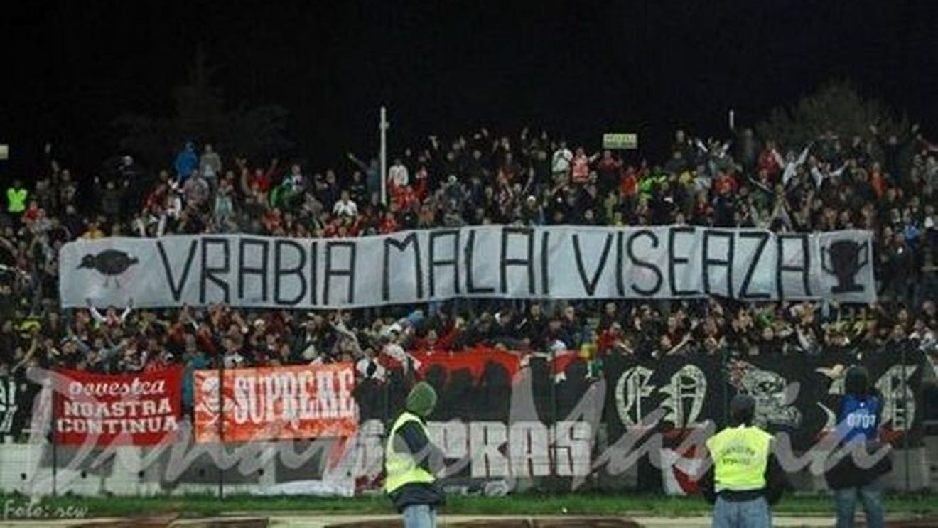 Sunt rasiști câinii? **"`Inimă de țigan` e cel mai urmărit serial"