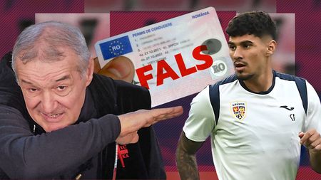Avem detaliile fabuloase din dosarul secretizat în care Florinel Coman a primit 11 luni de închisoare! Starul naționalei, pe care Gigi Becali are de primit 6.250.000 de euro de la arabi, a povestit anchetatorilor cum a luat permisul fals din Ucraina şi câți bani a plătit pentru el. EXCLUSIV
