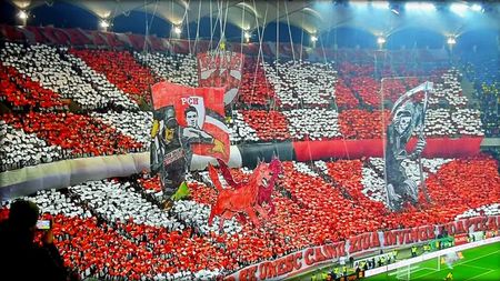 Suporterii lui Dinamo fac marele anunț: „Suntem pe punctul de a obține licența” + Avertisment pentru Negoiță: „Nu vinde în pripă”