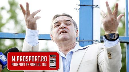 Gigi a găsit 'CREIERUL', dar îl vrea la preț de chilipir:** "Nu mai cumpăr marfă de la Mititelu! De ce să mă coste 700, când pot să dau 200!"