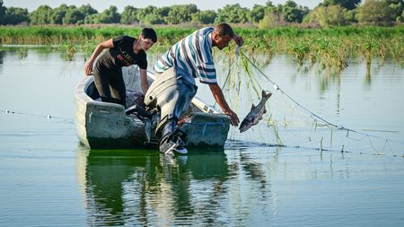 Ce se întâmplă cu pescuitul din România. Legea care schimbă totul: „Va aduce 1 la sută din PIB”