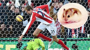 Fobiile unui uriaș! Crouch are 2 metri, dar se teme de Katie, un hamster pitic. Imaginea postată de soția atacantului: "E îngrozit"