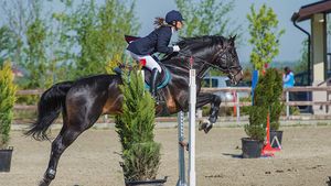 Startul pentru a doua etapă a Circuitului Salonul Calului se dă la Equestria, pe 5 iunie. Vezi programul competiței