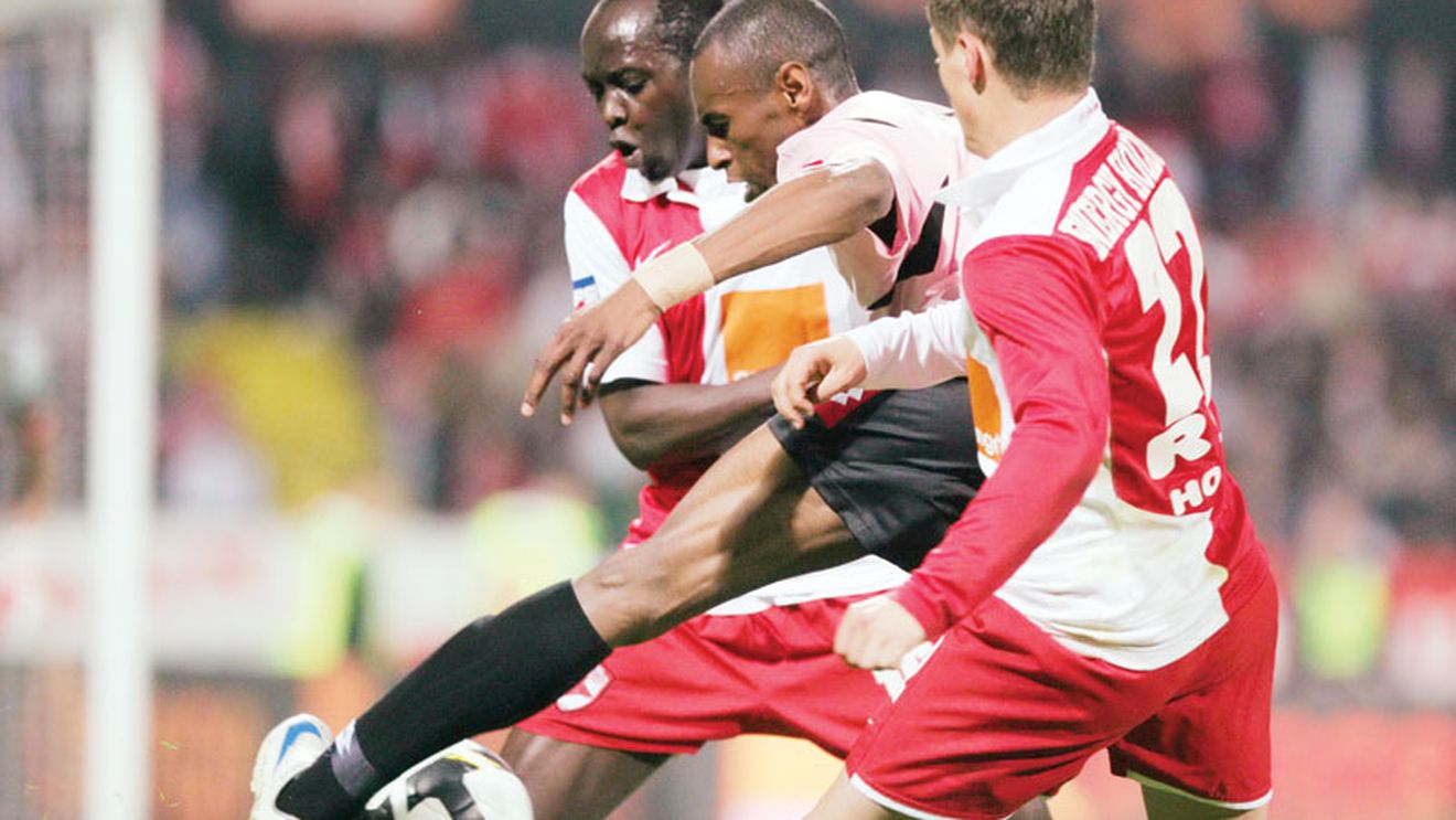 Câinii roșii, pantera roz