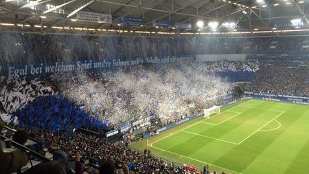 Un suporter al echipei Schalke 04, condamnat la 18 luni de închisoare