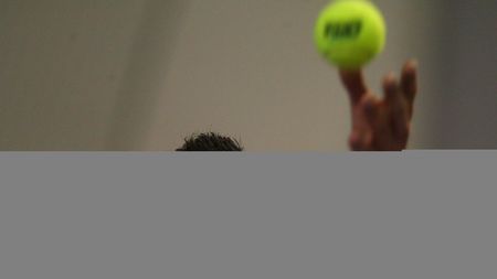Hănescu, victorie la Roland Garros
