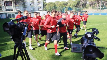 „Câinii", la puricat