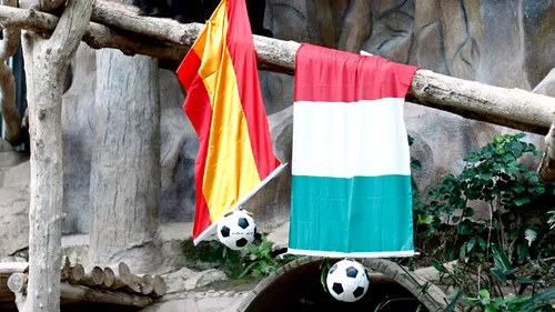 Cele mai tari glume înainte de Spania - Italia:** Balotelli nu va reuși hattrick-ul pentru că după fiecare gol își dă tricoul jos și ia galben