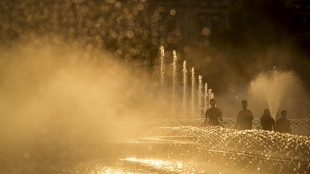 Canicula și mizeria de sub preș. Apă rece, să nu miroasă!
