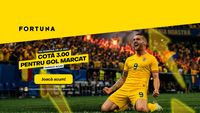 (P) Giveaway la Fortuna: cotă 3.00 pentru gol marcat de România