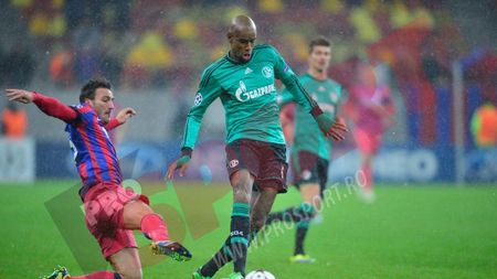 "Numărul șase e foarte bun!" Santana, impresionat de doi steliști. Pe cine recomandă în Bundesliga