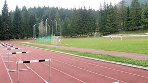 2,5 milioane de euro, investiția necesară pentru un stadion de gheață