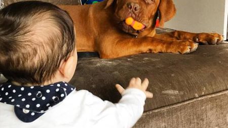 FOTO | Câinele lui Messi face din nou senzație pe net! Așa arăta când avea doar câteva săptămâni. Acum a ajuns la dimensiuni incredibile