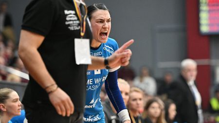 Ce s-a întâmplat în sala din Giulești între Cristina Neagu și fanii Rapidului. Liderul galeriei, Liviu Ungureanu alias Bocciu, s-a dus direct la jucătoare și a făcut asta