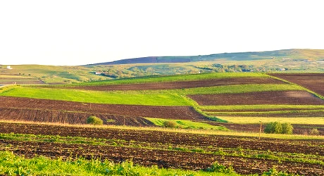 Anunț pentru proprietarii de terenuri din România. Se plătește mai mult! Toată lumea trebuie să știe