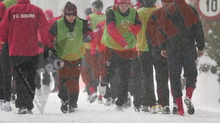 FOTO** "Câinii" trag din greu: "Nici nu mai vedem când venim de la antrenamente!"
