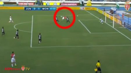 Berbatov e noul Ibra. VIDEO superb - Bulgarul a înscris golul verii și i-a făcut uitați pe James Rodriguez și Falcao