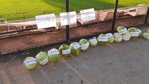 Fanii Rapidului, ironie fabuloasă la adresa echipei lui Adrian Iencsi după ce s-a făcut de râs în Cupă: „Donez varză! P.S. Nu e bună nici de murături!”. Imaginea care va deveni virală