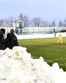 Spectator ”umilit” de FC Voluntari?! A plătit 35 de lei pe bilet, dar nu i s-a pus la dispoziție nici toaletă funcțională: ”Am întrebat dacă, în cazul în care ies de pe stadion, pot să reintru. Răspunsul a fost negativ”