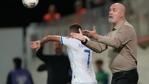 Bosnia - România, culise din istoria gazdelor! Povestea lui Sergej Barbarez și lista ex-iugoslavilor din campionatul nostru. SPECIAL