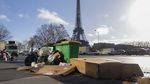 Ce s-a întâmplat după ce înotătorul rus a declarat că „în Paris pute a urină și gunoi, iar şobolanii aleargă pe sub Turnul Eiffel”